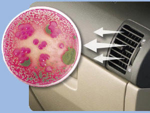 Vehicle Ventilation System Service | Camarillo Car Care Center